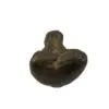 Phra Pidta Statue - Image 2