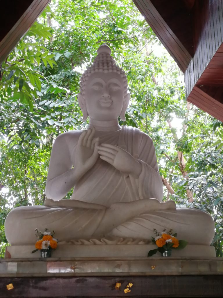 Dharmachakra mudra